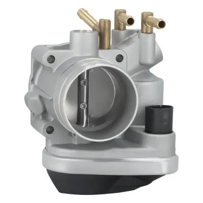 Volkswagen - Seat - Skoda - Audi 1.6 bse Motor Çıkma Orijinal Gaz Kelebeği